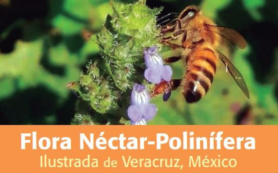 Flora néctar polinífera ilustrada de Veracruz