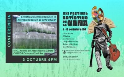 Estrategia biotecnológica en la micropropagación de caña azúcar XXI FAC