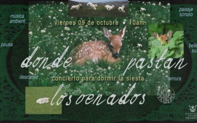 Concierto para dormir la siesta